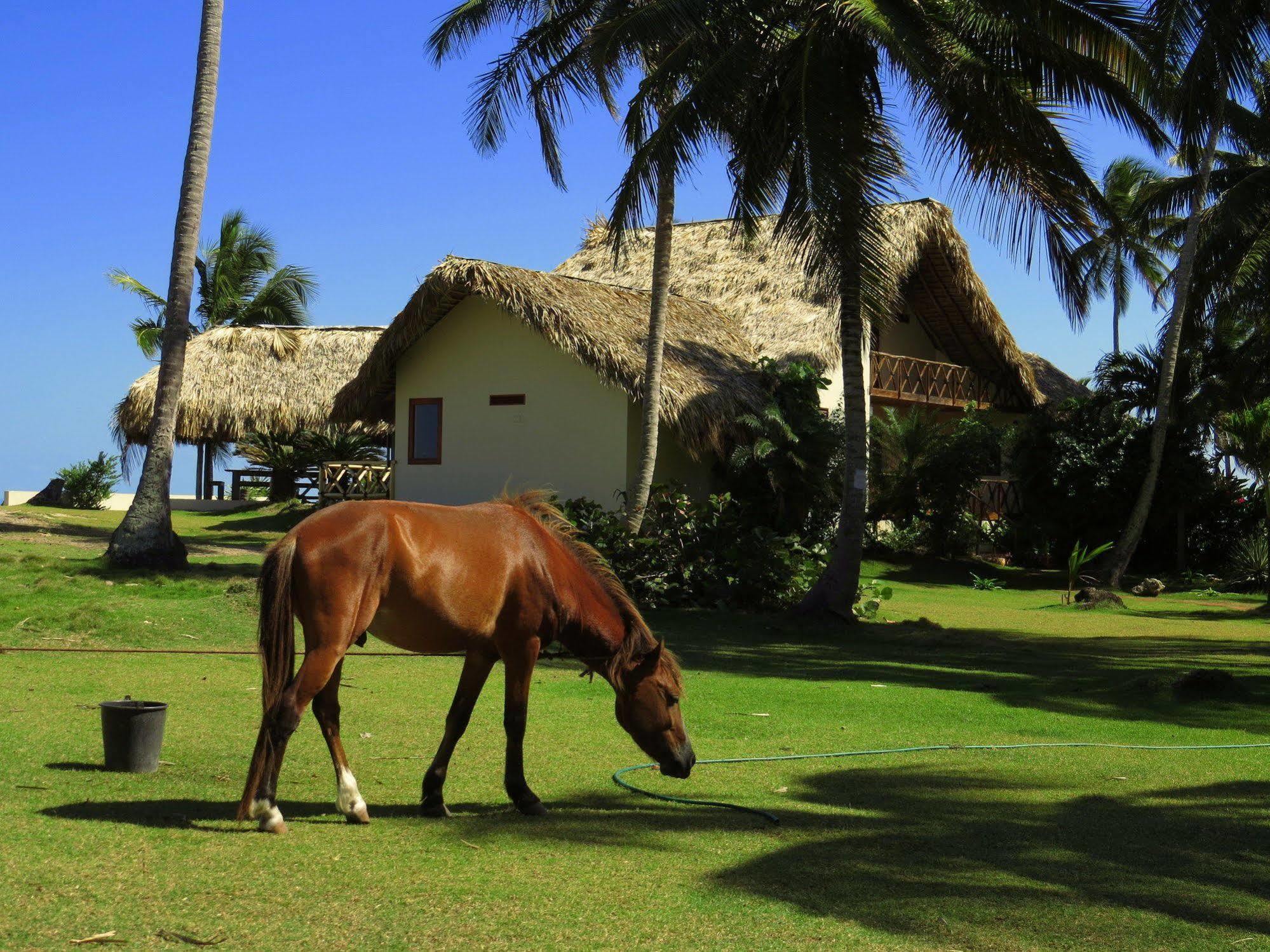 Villa Punta Coral El Francés Zewnętrze zdjęcie
